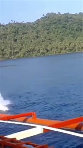 RMN - What's The Style Music Background Introduction