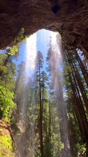 Michelle Totin (@michelleh.totin)’s videos with The Rain Song (Remaster) - Led Zeppelin