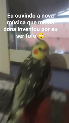 aí só porque eu sou fofo demais 😑