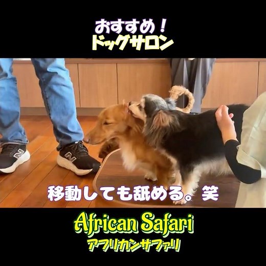 がまんがまん…🐶【大分アフリカンサファリ🦁🐘】