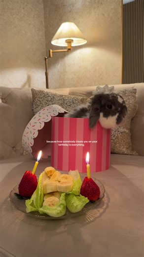 Bunny Birthday Party Celebration Ideas