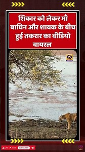 माँ से भिड़ गया टाइगर शावक #wildlife