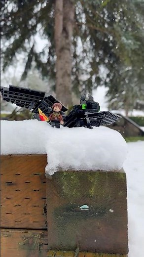 Taking My LEGO Toothless from HTTYD into a Snow Storm