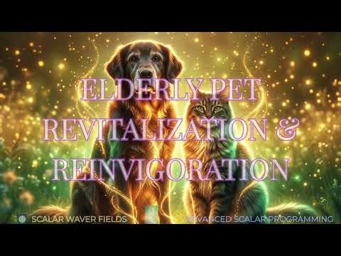 Elderly Pet Revitalization & Reinvigoration (Amplified Energetic In-Formation)