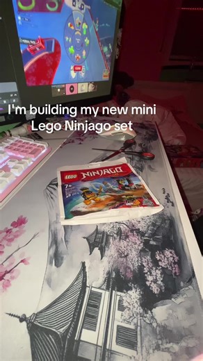 Building a New Mini Lego Ninjago Set