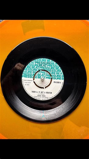 Peter Tosh [feat. Winston Wright & Larry McDonald] / Them A Fi Get A Beaten ... 1972 💣💥👌 #vinilcollector #jamaicanmusic #reggae #reggaejamaica #vinil #reggaemusic | Rudeboy & Skinhead Sounds