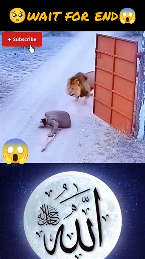 MashAllah 💪🕋🥰 Respect #allah #muhammad #mecca #madina #moosatv #masjit #islamicshorts