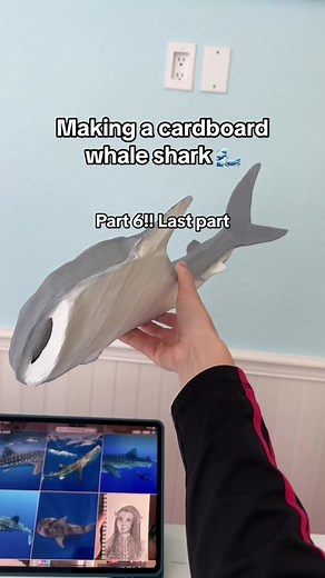 Painted Cardboard Whale Shark - DIY Tutorial