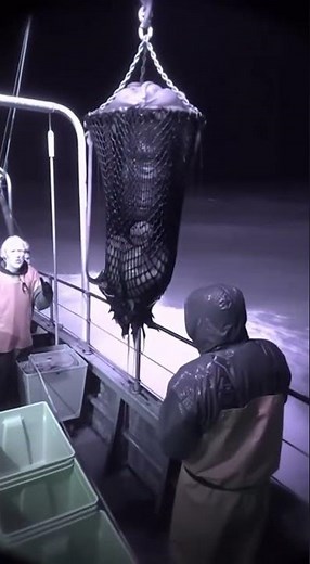 Don't Watch This If You Are Scared of Deep Water... ⚓