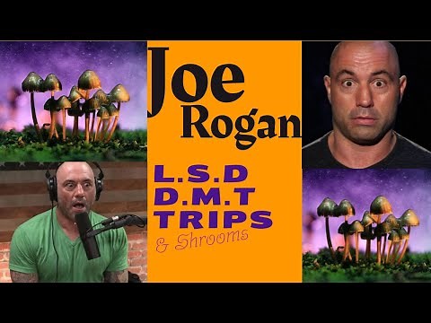 JOE ROGAN| 30 min of L.S.D, MUSHROOMS & D.M.T