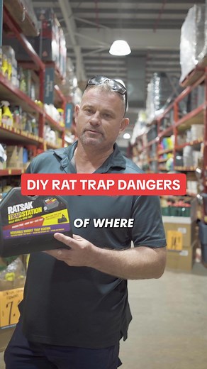 DIY Rat Traps: Safeguarding Pets from Harmful Baits