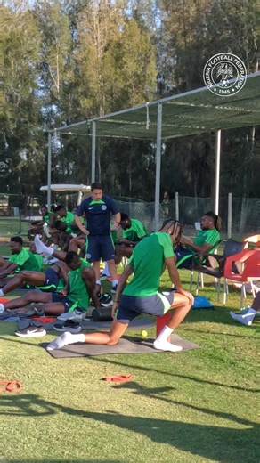 Experience Camp Mood: Fun Activities and Insights