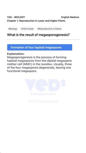12th Biology Reproduction in Plants Megasporogenesis Explained