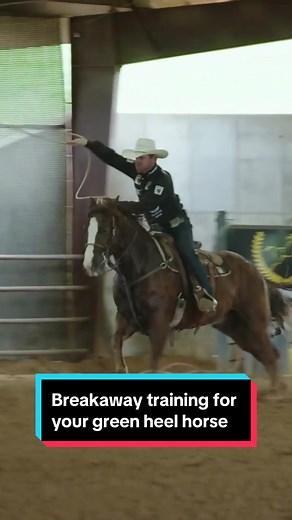 Breakaway roping teaches young heel horse prospects to focus on finding the cow. In this video brought to you by @Cactus Ropes, @Miles Baker explains the benefits of breakawaying on green heel horses to teach them the fundamentals of tracking. ⁣ ⁣ ⁣ #teamroping #teamroper @RelentlessRemuda #cactusropes #ropinghorse #ropingcattle #ropingpractice #RelentlessInsights ⁣
