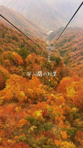 谷川岳の紅葉を楽しむ登山女子のご褒美ロープウェイ体験