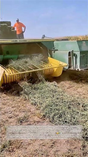 Baling Hay with Precision – How Many Bales Per Hour?