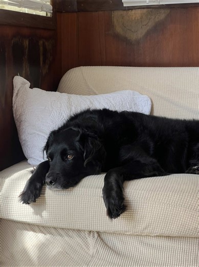 Meet Our Newest Boat Family Member