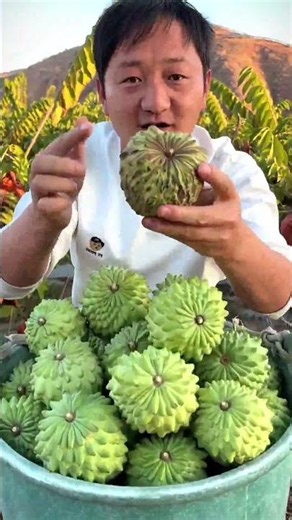 🧑‍🌾 Harvesting Giant Custard Apples Straight From the Orchard! 🍏✨