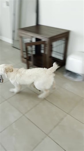 Black Friday Starts Nov 20. Explore Roborock’s Smart Cleaning Deals Before Dec 1. | Roborock