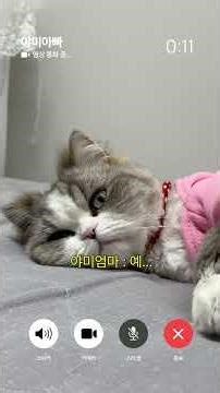 In the end, no one could eat.