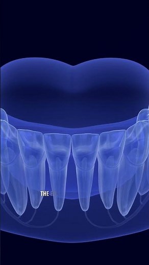 Still in Pain After a Root Canal? Here’s What You Need to Know!