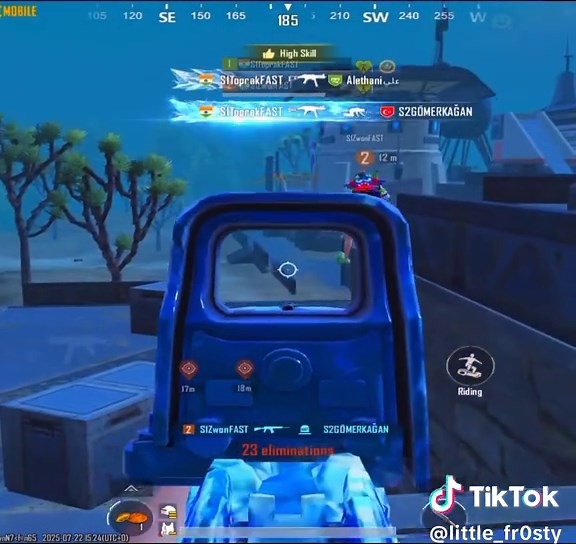 100 Kills in PUBG: World Kill Record Achieved!