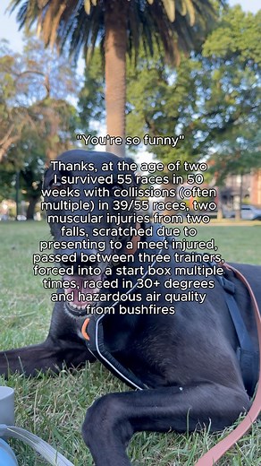 115K views · 959 reactions | Want to know the worst part? Jayce is...