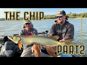 Thorne Bros | September Chippewa Flowage Muskies (Day 2)