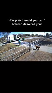 Frustration with Amazon Delivery Drivers