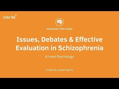 Issues, Debates and Effective Evaluation in Schizophrenia