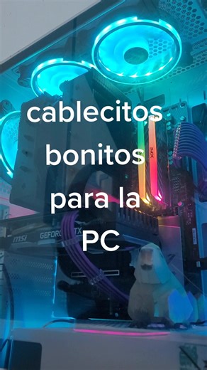 Instalando Extensiones de Cable para PC: ¡Un Toque de Lujo y Color!