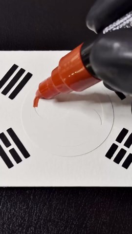 Korea flag 한국 국기 🇰🇷..Next? #korea #korean #한국 #대한민국 #남한