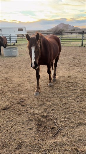 Yz_Bunzz1 (@yz_bunzz1)’s videos with Nobody In His Right Mind Would've Left Her - Keith Whitley