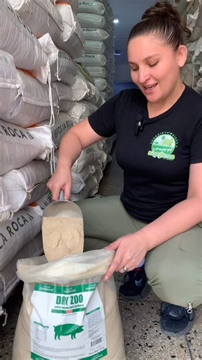 Agrodistribuidora La Cruz on Instagram: "🐷✨ ¿Sabías que el polvo secante es un gran aliado para tus lechones? El polvo secante ayuda a mantener a los lechones secos, limpios y protegidos desde sus primeras horas de vida. Al absorber la humedad, 🐷reduce el riesgo de enfermedades, evita problemas en la piel y disminuye la presencia de bacterias en el área de parto 🐖 Además, al mantenerlos secos, los lechones conservan mejor su temperatura 🌡️corporal, lo que se traduce en más energía, mejor arr