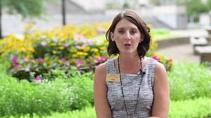 1.6K views · 15 shares | Jobs & Hope can now make referrals to DHHR's Pre-Employment Program for dental and vision care and to Legal Aid of West Virginia. Learn more about the impact this program is making in the lives of West Virginians: https://youtu.be/8YovriaQetI | WV Departments of Health, Health Facilities, and Human Services | Facebook