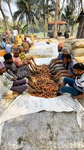 Amazing Carrot Washing Process 🥕💦