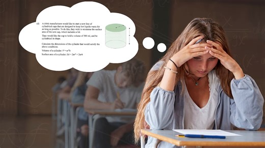 The level 2 NCEA maths question that left top students in tears
