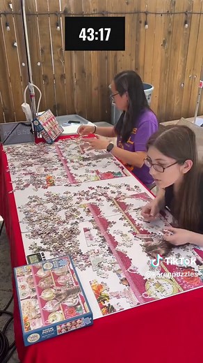 The Hardest Speed Puzzle Ever! Solve it with Speed Puzzling