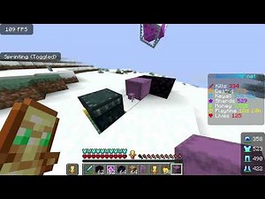 Donut smp dupe glitch!