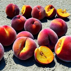 bootie_picker Schedule - Twitch