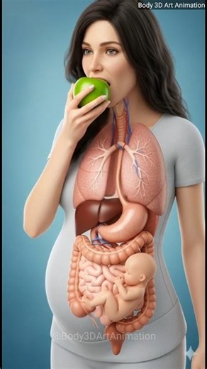 How Your Body Digests Food: Realistic Green Apple Eating & Digestion Process Explained