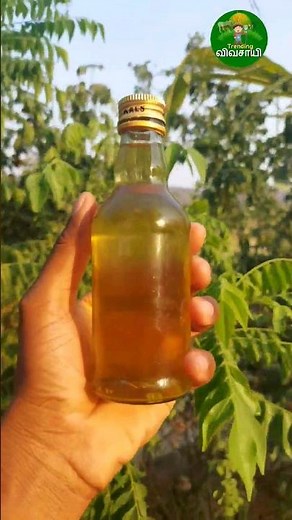 Can I extract oil by boiling castor seeds? | Oil extraction from Caster Seed