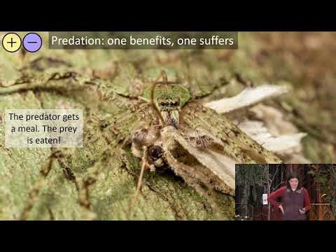 2026 TTNM Conference - “Trees, Insects, & Chemical Warfare: What Plant Defenses Can Tell Us”