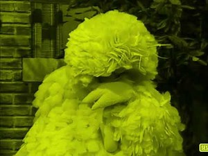 Big Bird Sleeping In Yellow