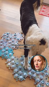 Time for some more meta-analysis! This one's from the era where all she was talking about was 💩 - what fun! #whataboutbunny | Whataboutbunny