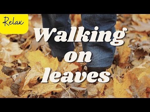 Walking On Leaves Sound Effects | Relaxing Leaves Rustling 1 Hour