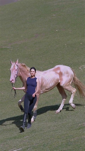 May you have a beloved horse