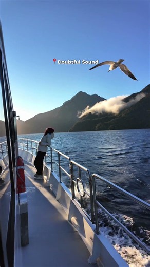 These New Zealand Places Don't Look Real