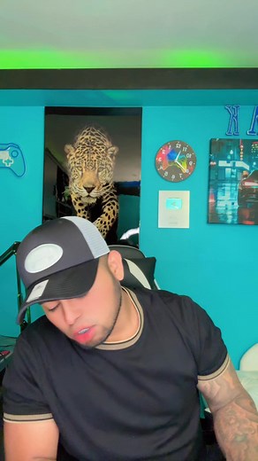 Ya jugaron Free Fire?👀 | ALEX FF