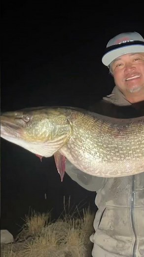 Over 40 Inch Northern Pike: Catch And Released: 11 Mile Reservoir: Lake George, Colorado: #fishing